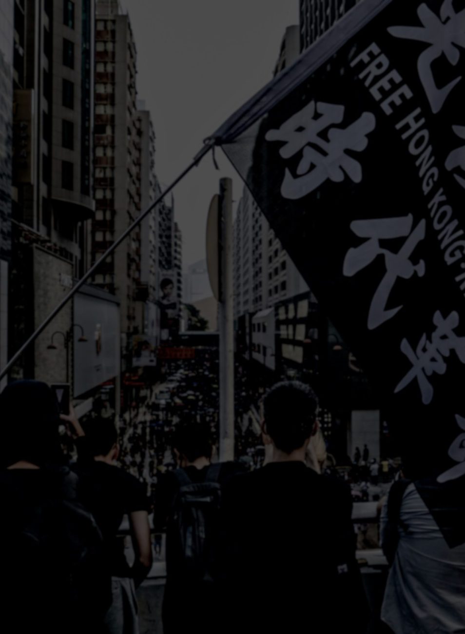 Image of Hong Kong Protesters waiving Free Hong Kong flag